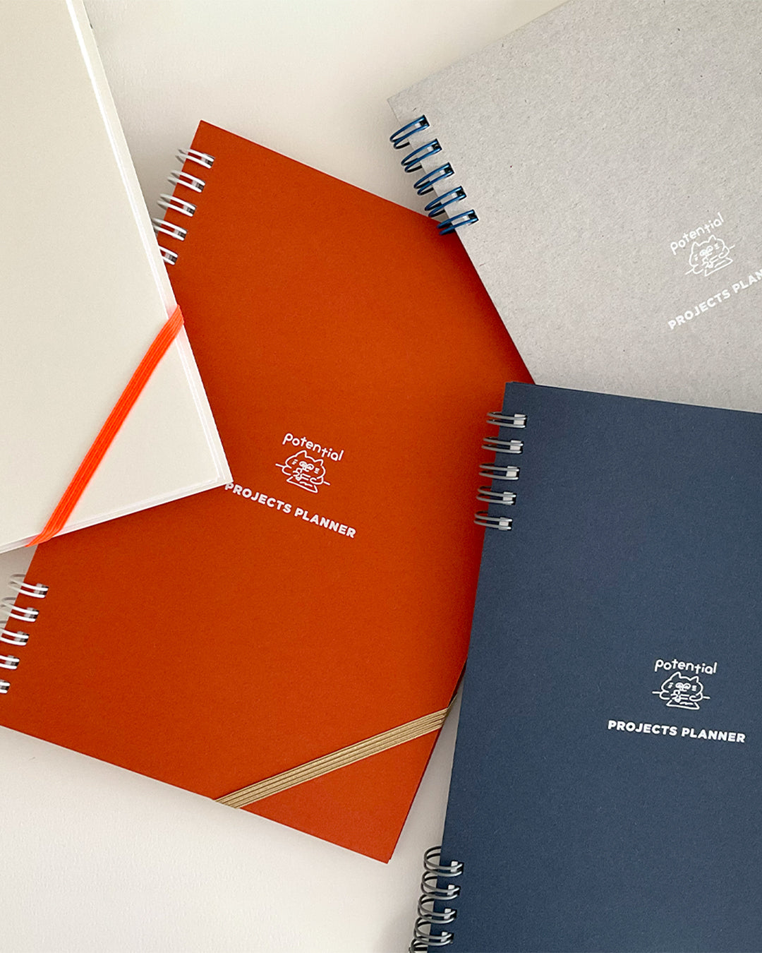 Project plan notebook / Potential