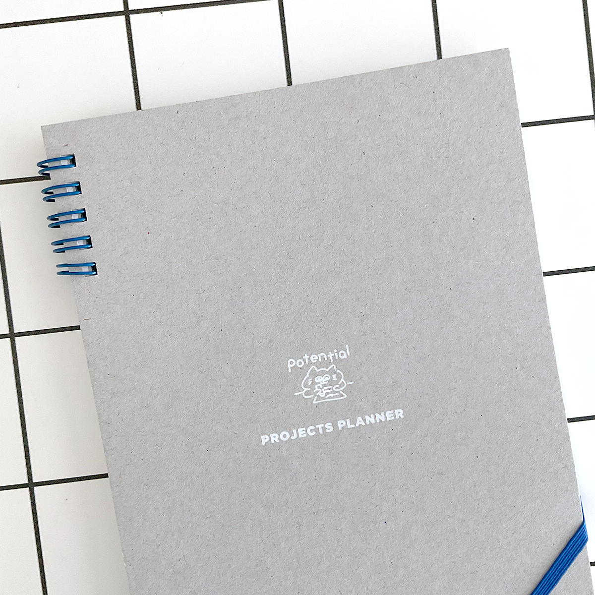 Project plan notebook / Potential