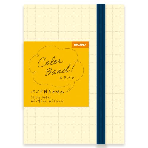 Colorband Grid Sticky Notes – 5mm, with Cover & Band