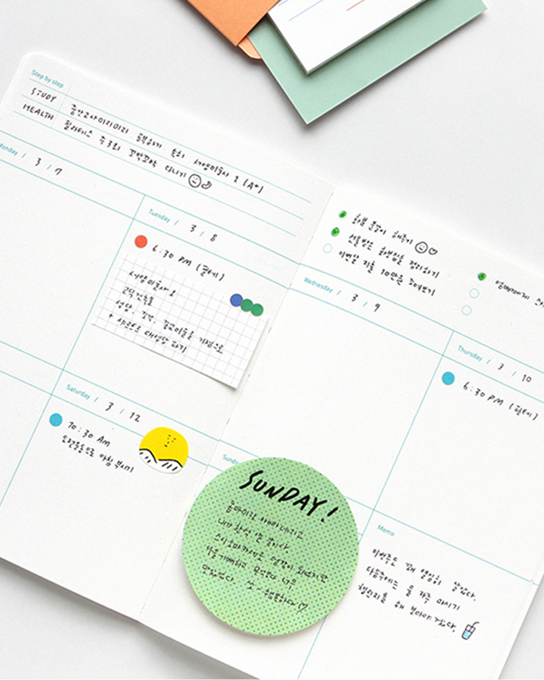 6-Month Diary (One Third Cat Half Diary) / gongjang