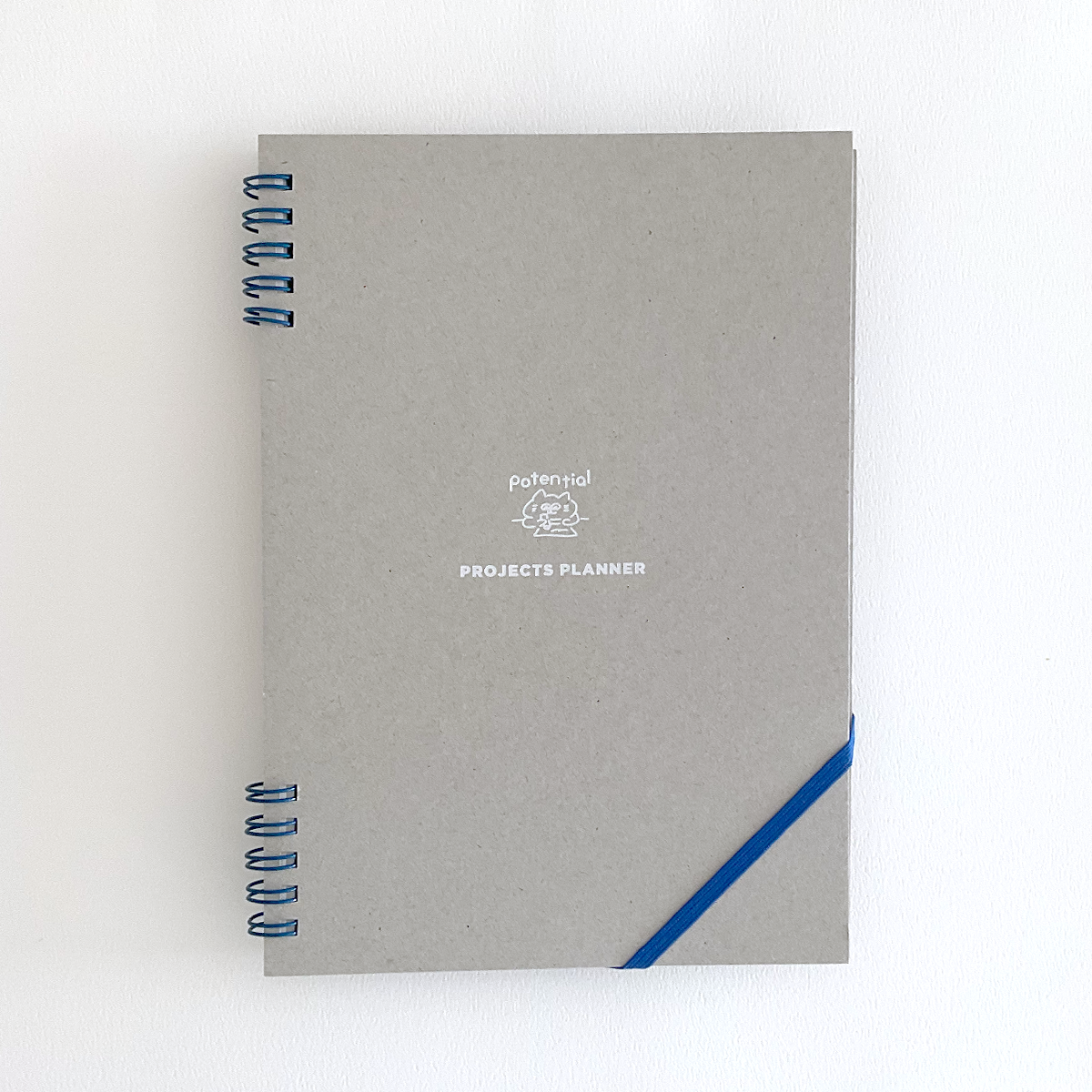 Project plan notebook / Potential