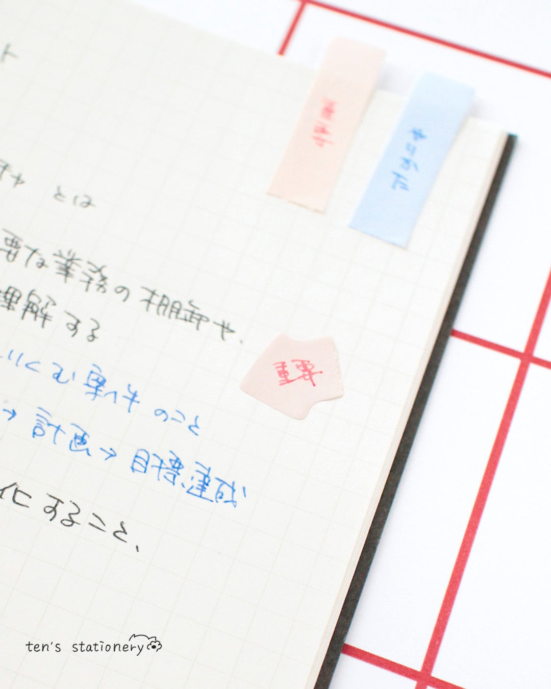 Cocosasu Split Sticky Notes –Marumi no color / BEVERLY