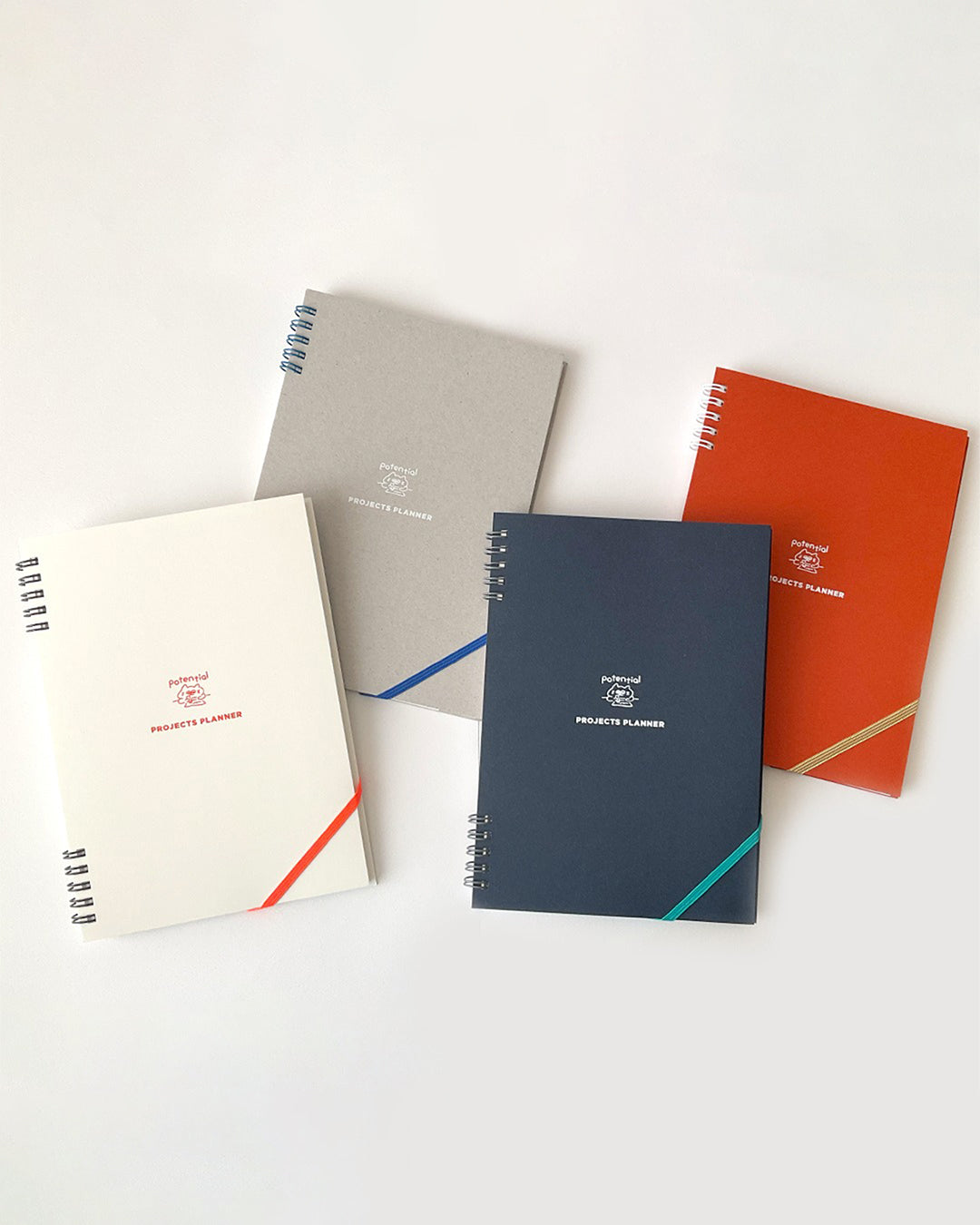 Project plan notebook / Potential