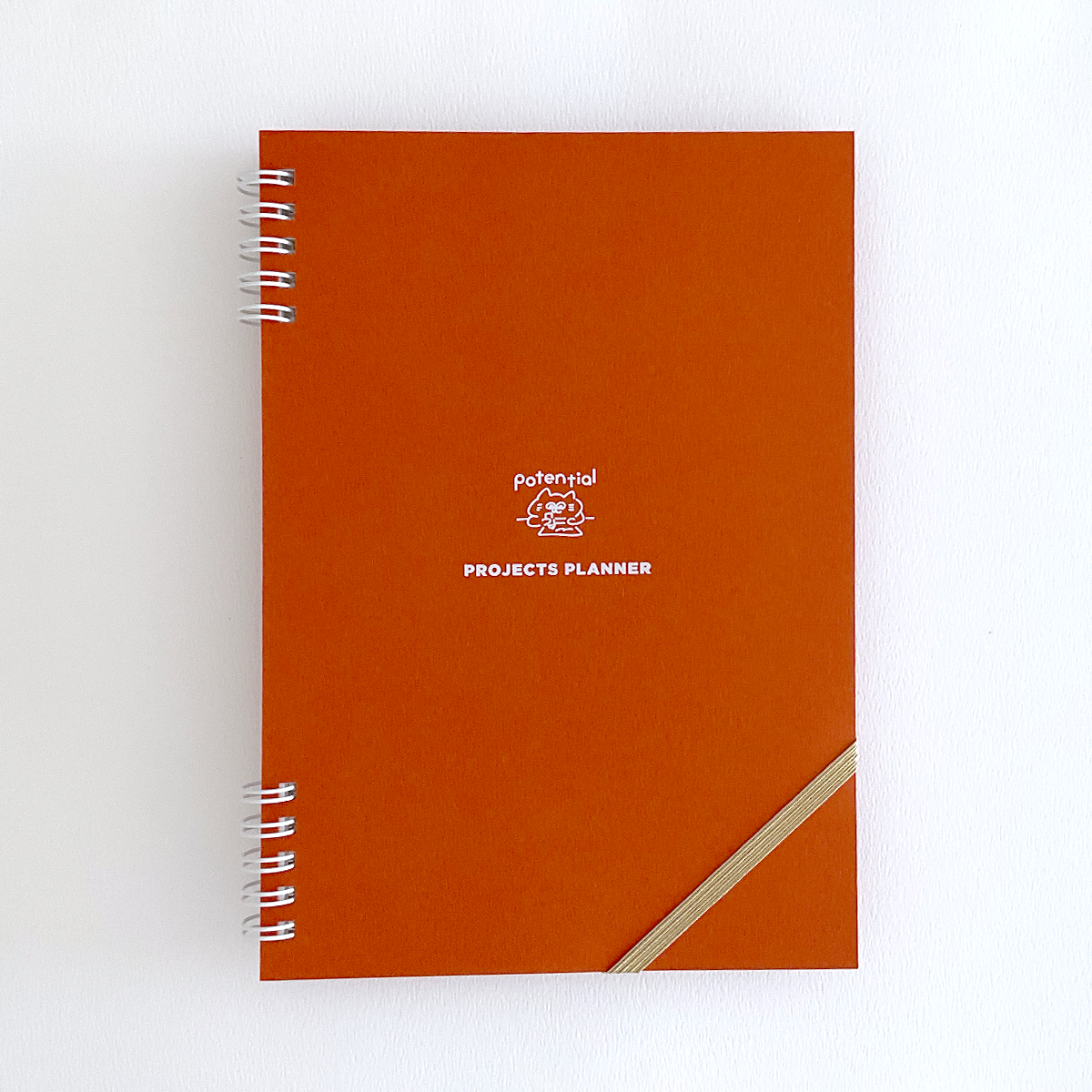 Project plan notebook / Potential