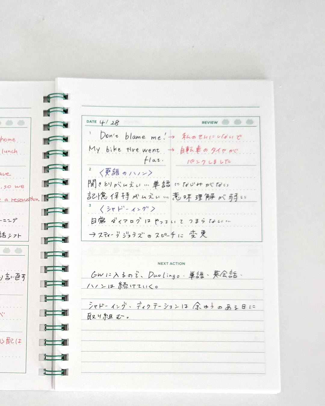 Revies notebook / Potential