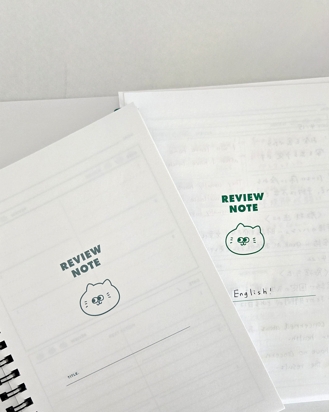 Revies notebook / Potential