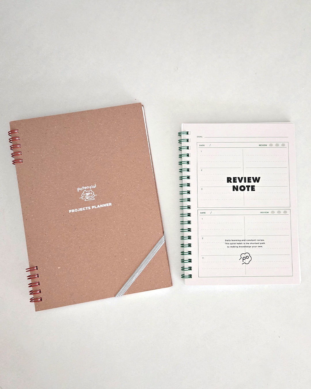 Revies notebook / Potential